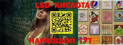 стафф Кимры