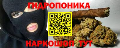 стафф Кимры