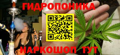 стафф Кимры