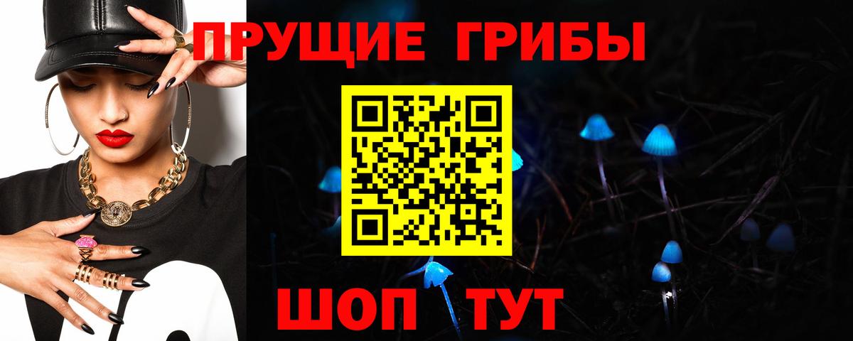 Псилоцибиновые грибы MAGIC MUSHROOMS Кизилюрт